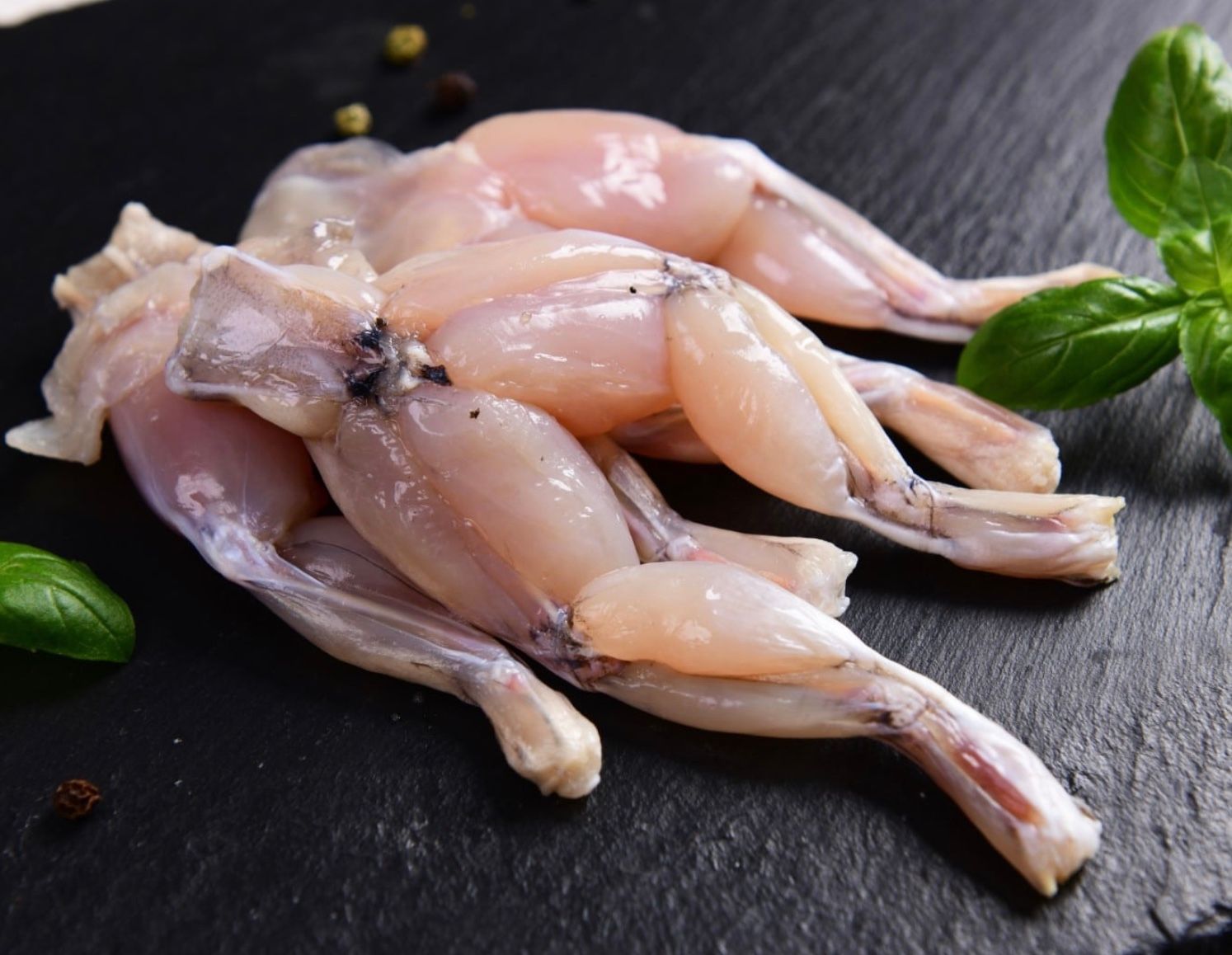 Зоозащитники требуют от европейских правительств ограничить импорт лягушачьих лапок Зоозащитники требуют от европейских правительств ограничить импорт лягушачьих лапок