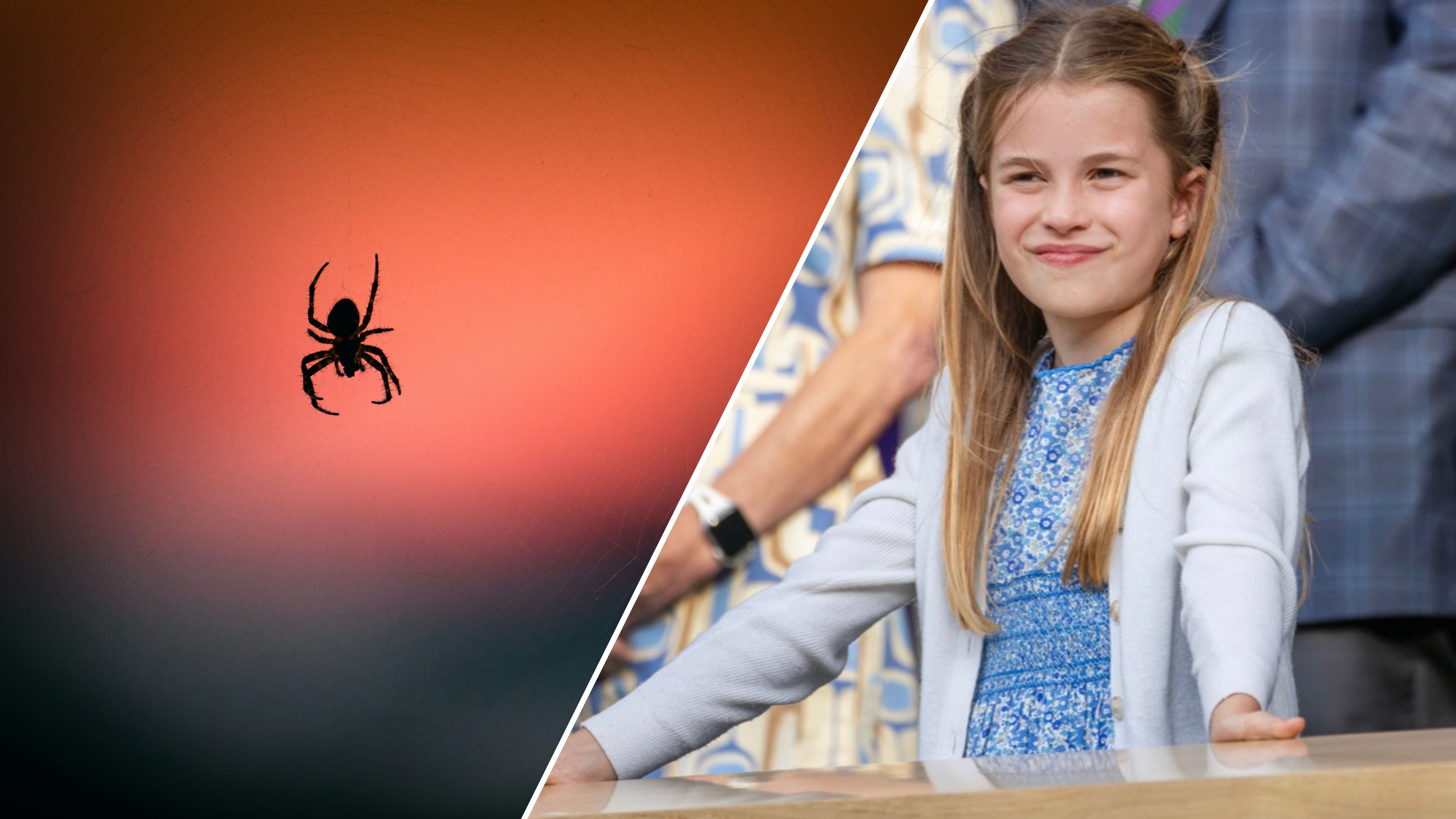 Принцесса Шарлотта рассказала о своем любимом животном Принцесса Шарлотта рассказала о своем любимом животном