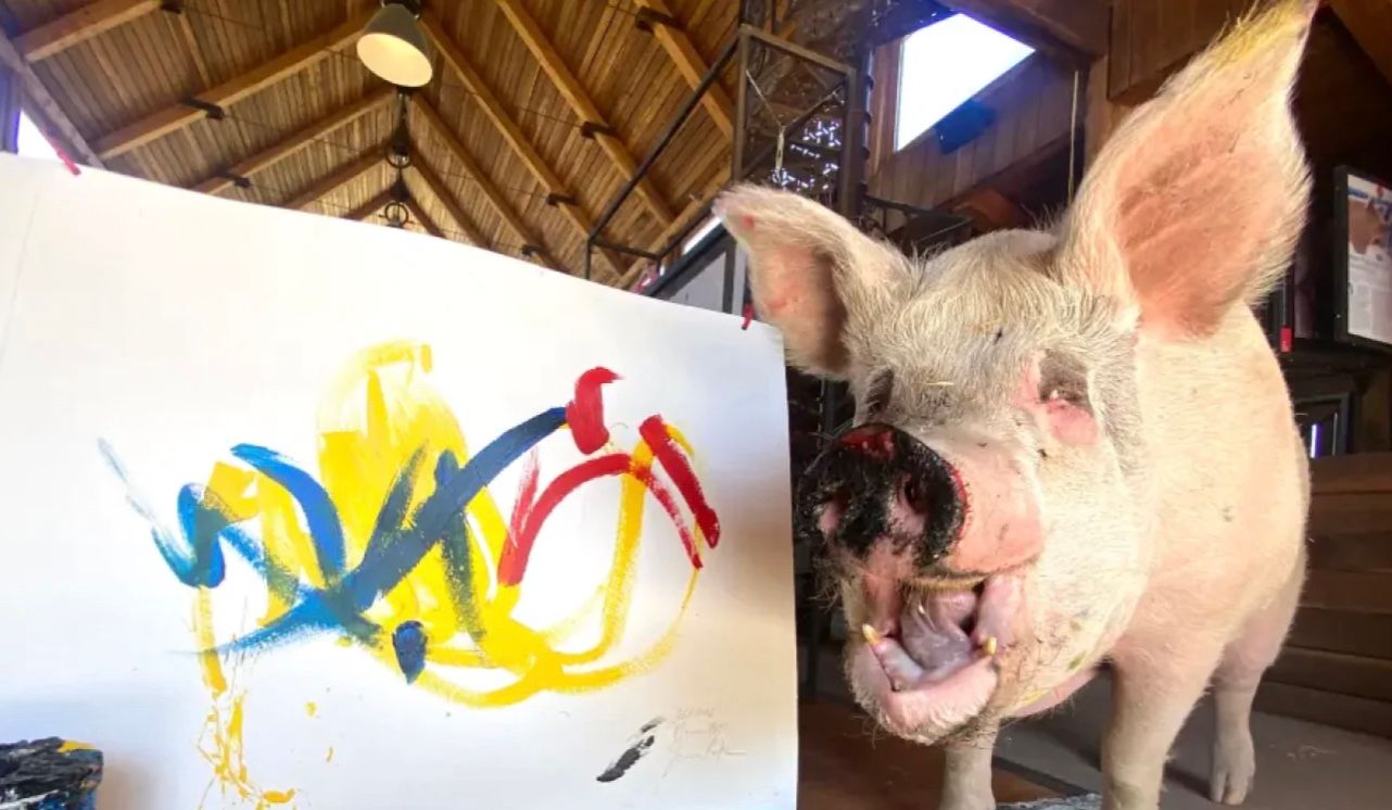 Пигкассо "заработала" миллионы долларов на своих картинах Пигкассо "заработала" миллионы долларов на своих картинах