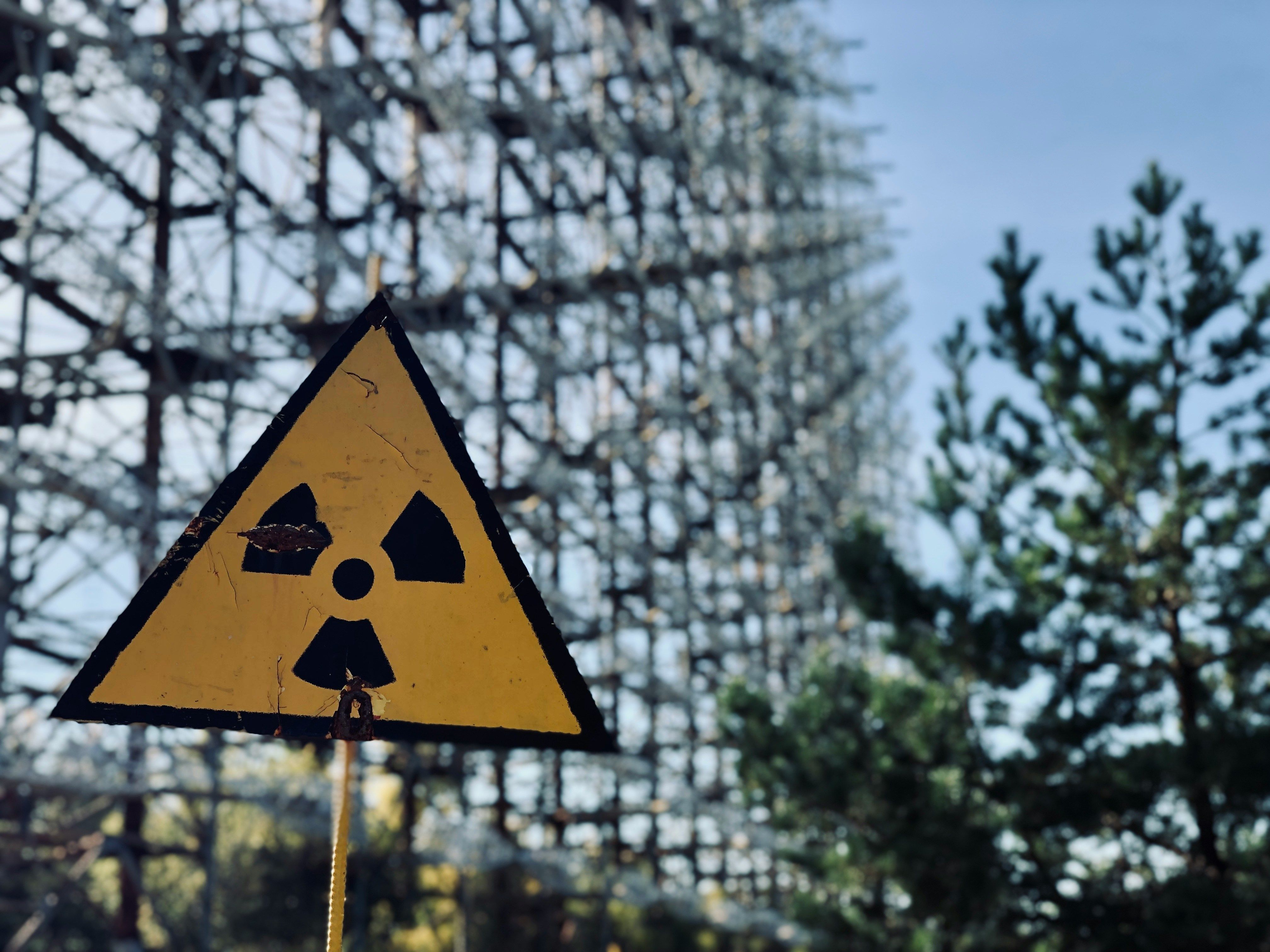 У Чорнобилі виявили тварин, на яких не впливає радіація