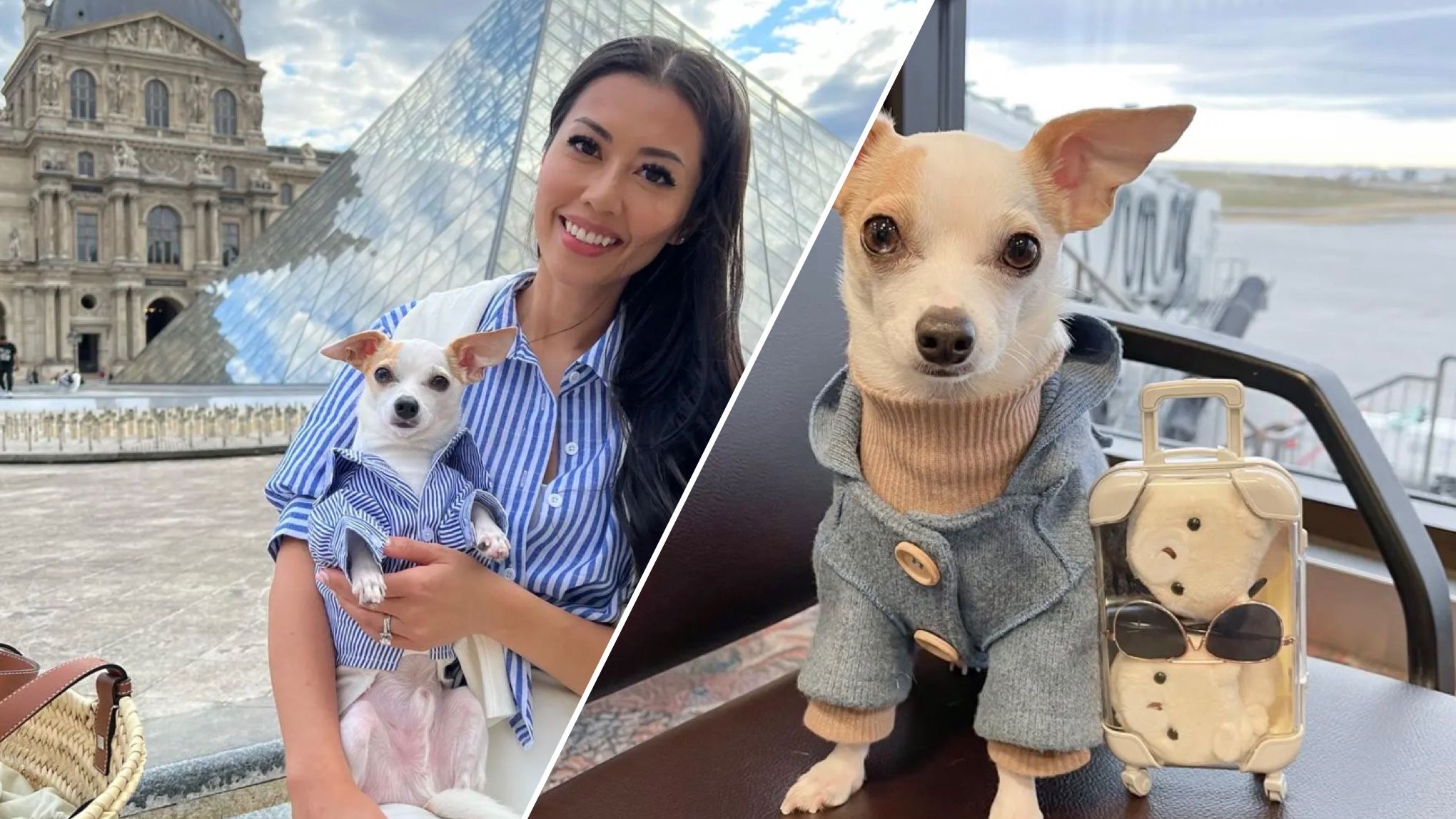 Песик путешествует по миру Песик путешествует по миру