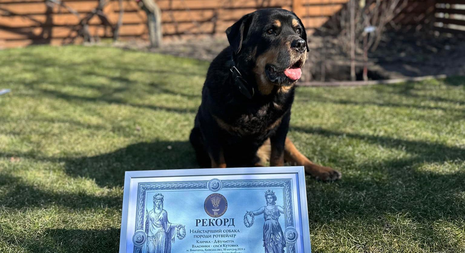 Найстаріший ротвейлер України помер Найстаріший ротвейлер України помер