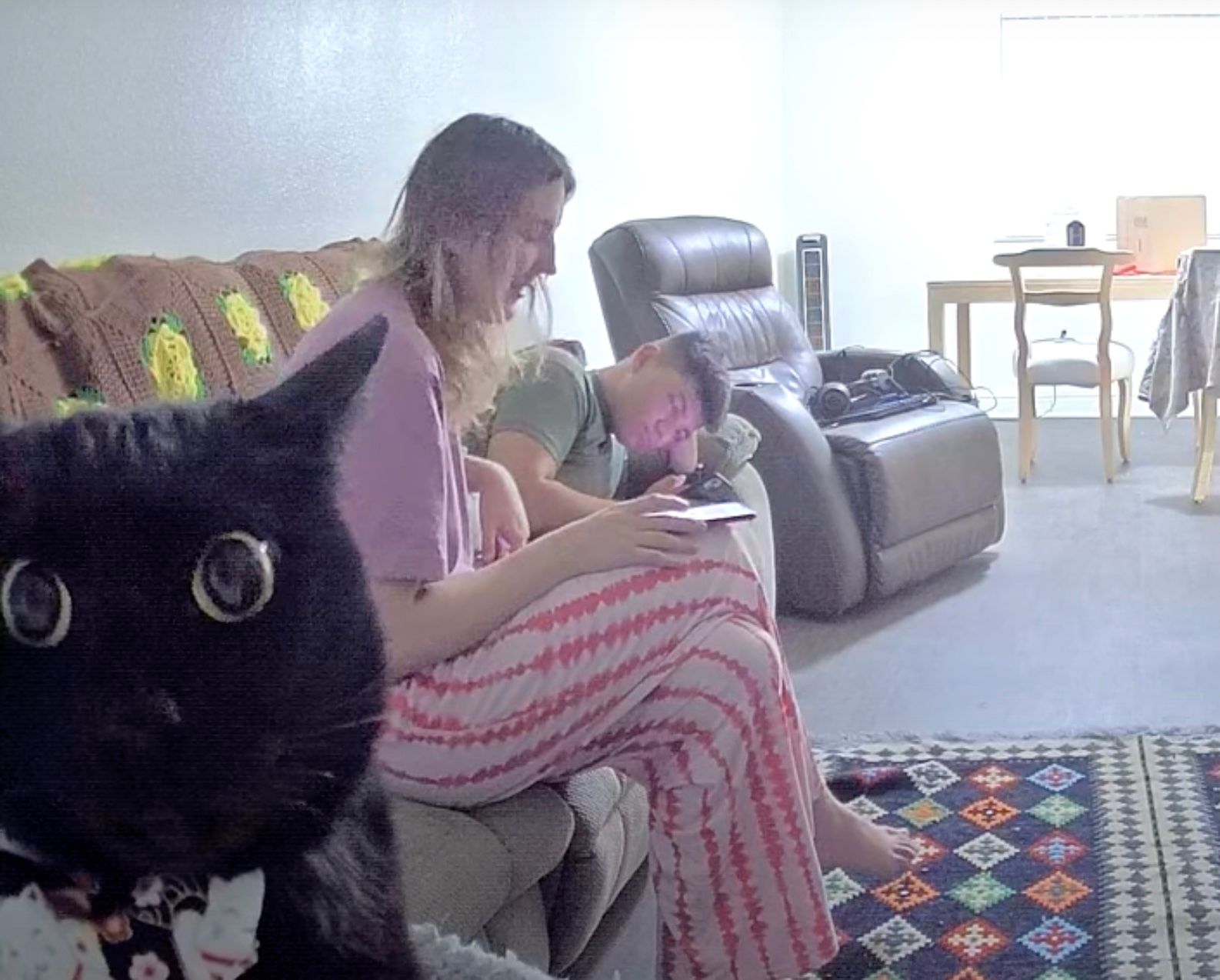 Эта кошка будто очарована камерой видеонаблюдения