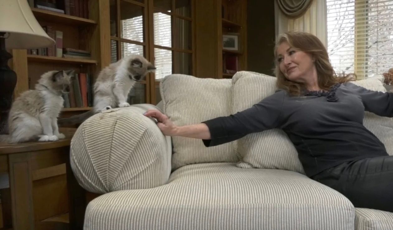 Господиня клонувала свого померлого кота Господиня клонувала свого померлого кота