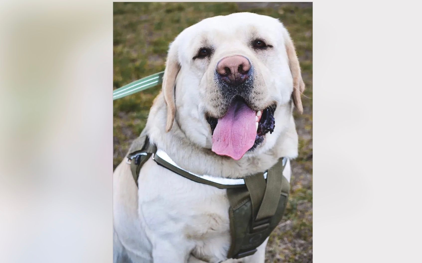 Ермі поділився деталями поїздки в тамбурі Ермі поділився деталями поїздки в тамбурі