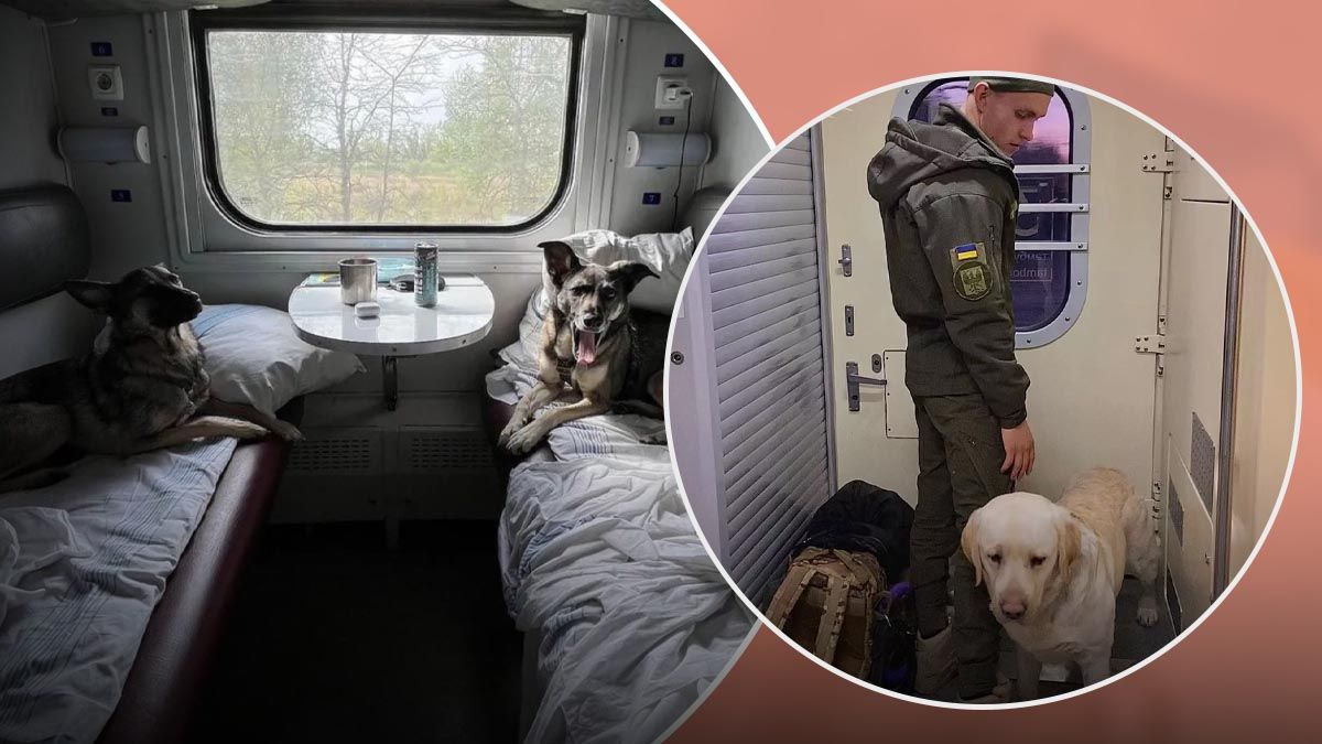 После скандала с нацгвардейцем Укрзализныця разрабатывает новые правила - 24 Канал После скандала с нацгвардейцем Укрзализныця разрабатывает новые правила - 24 Канал