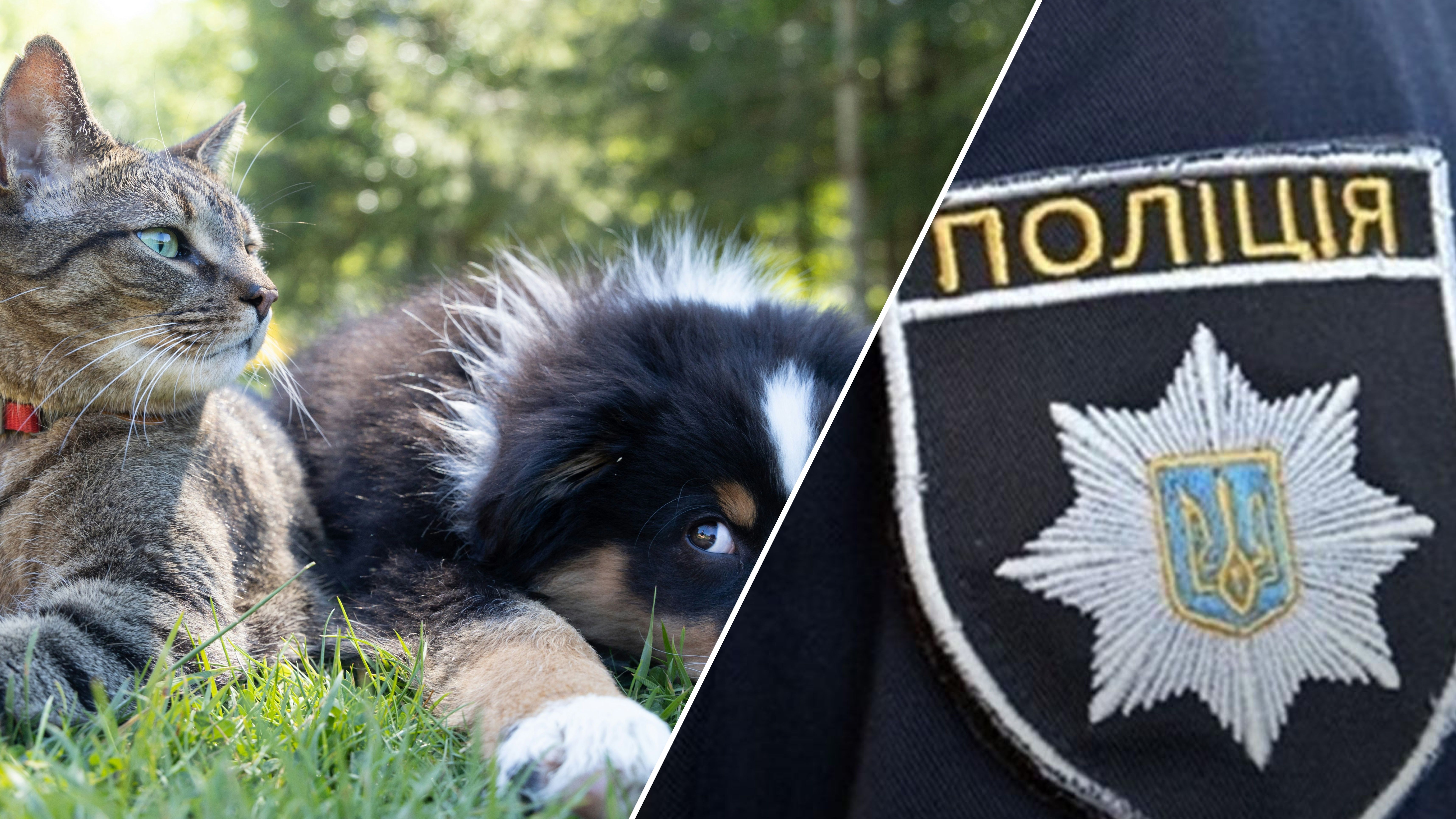 Украинцы просят создать Зоополицию Украинцы просят создать Зоополицию