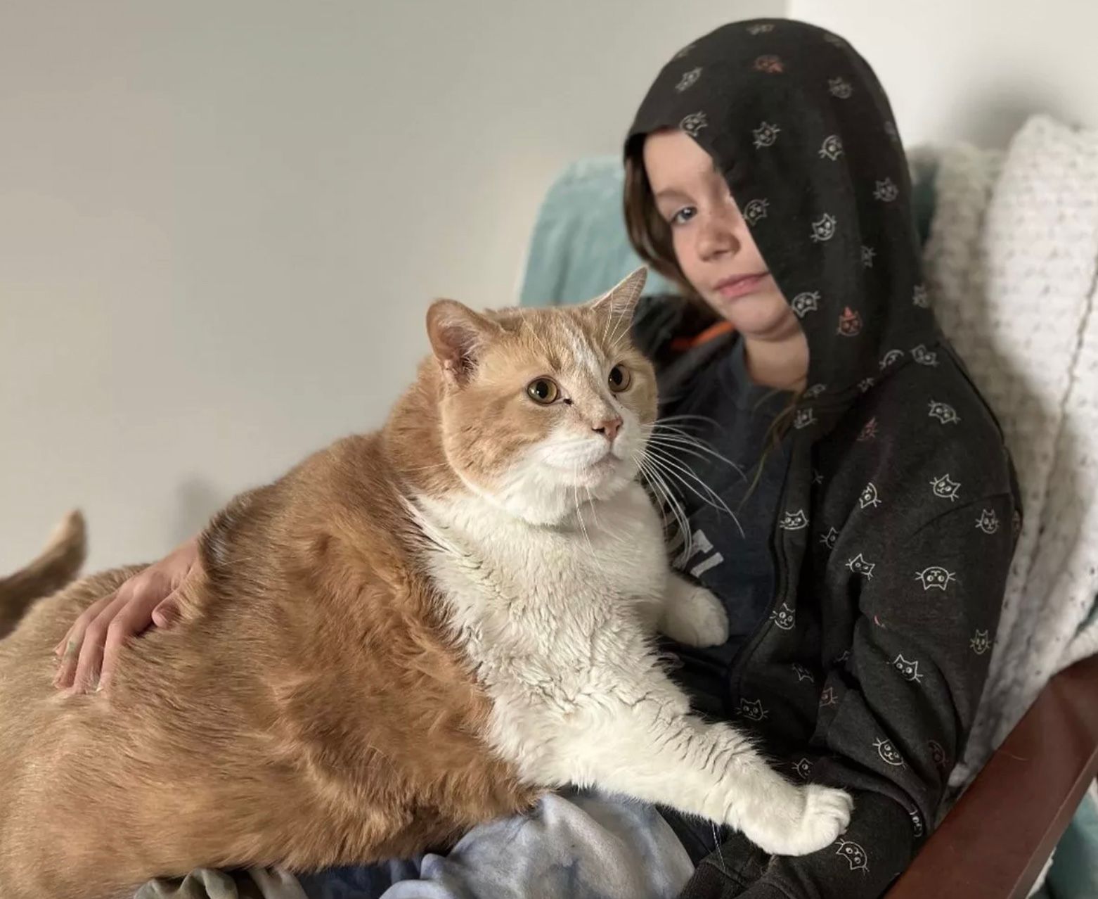 Жінка забрала додому кота розміром з її 10-річну доньку