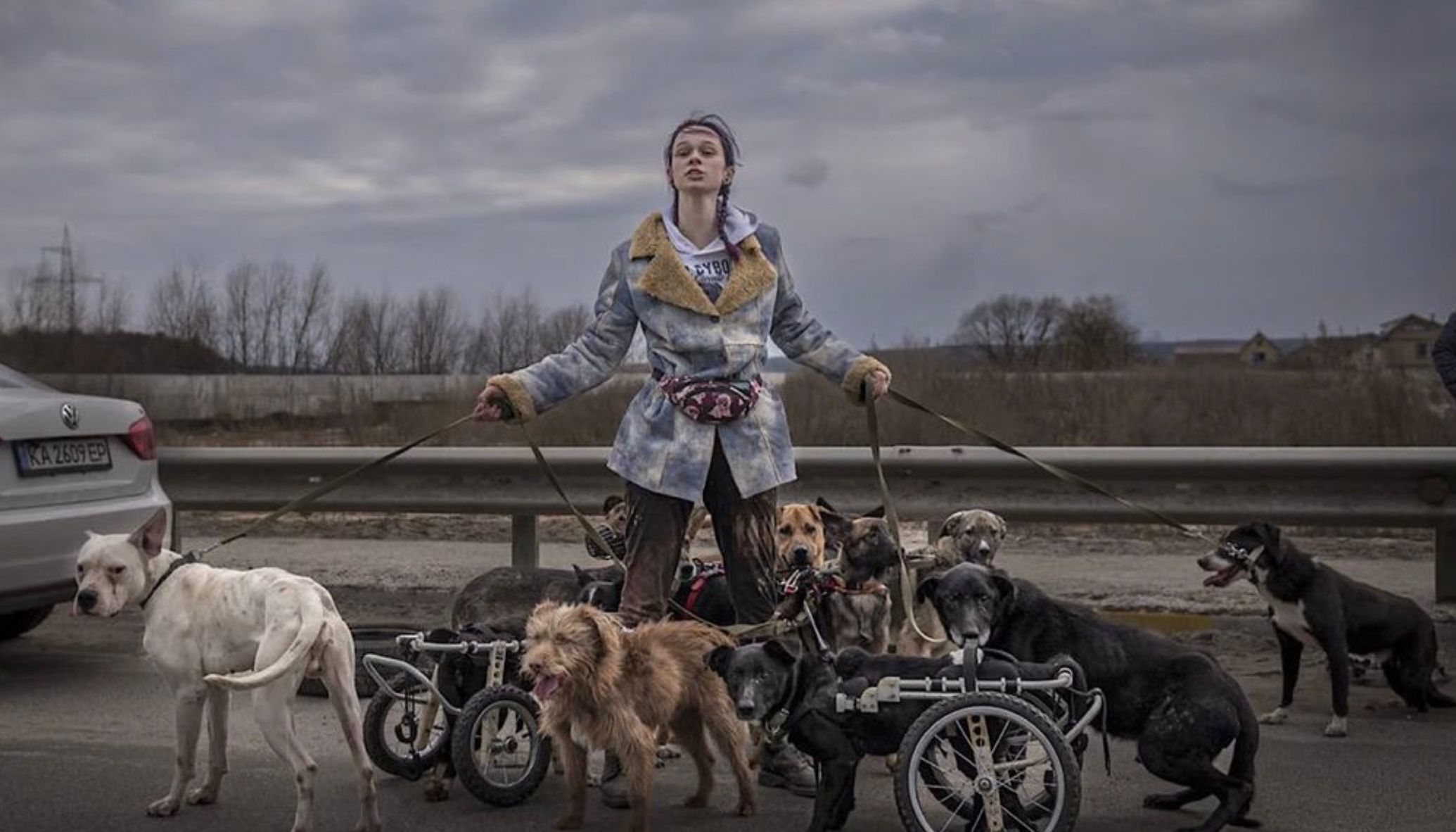 Анастасія Тиха під час евакуації собак з інвалідністю з Ірпеня, березень 2022 рік