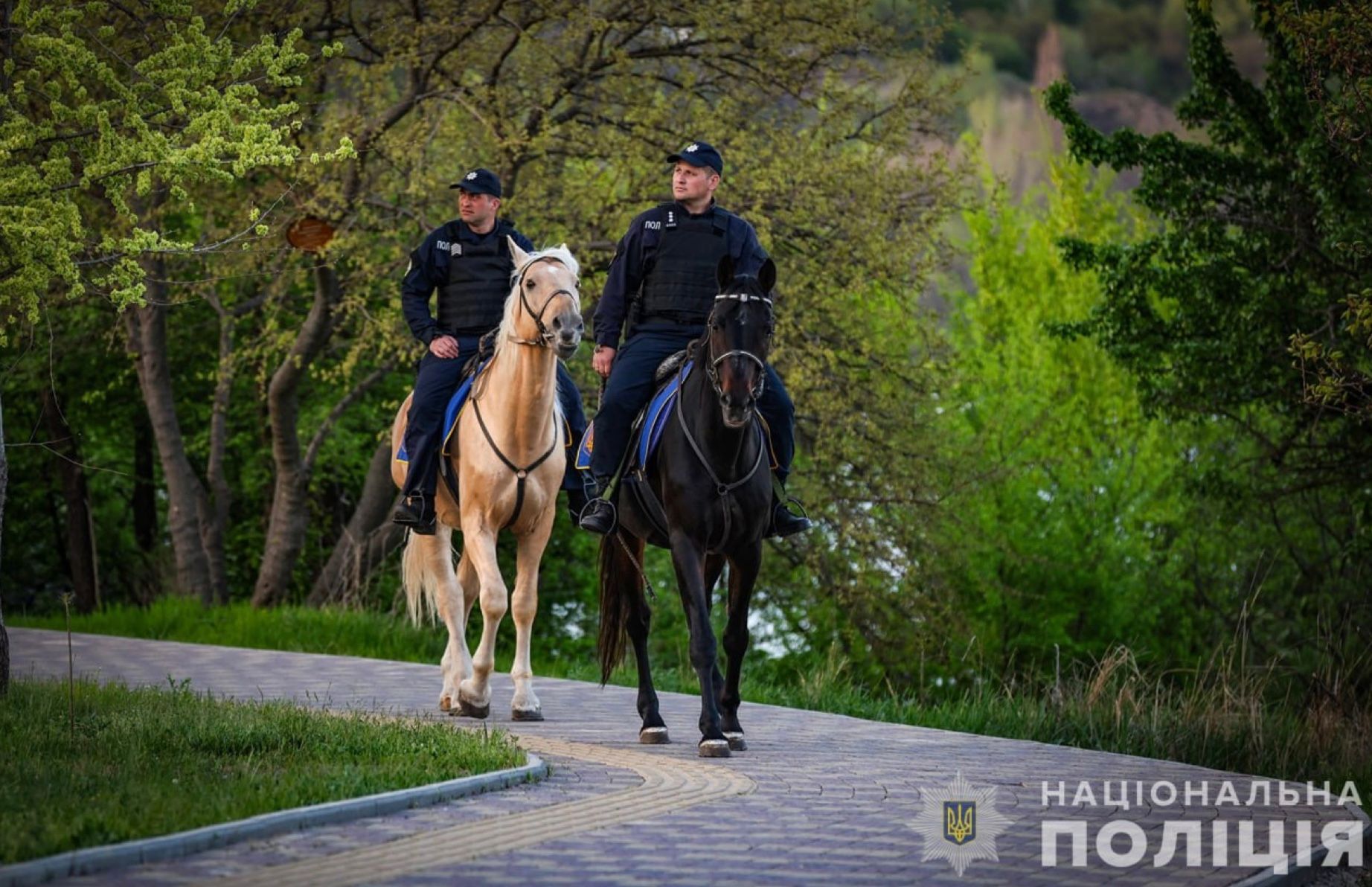 На Запорожье лесопарковые зоны начали патрулировать конные патрули