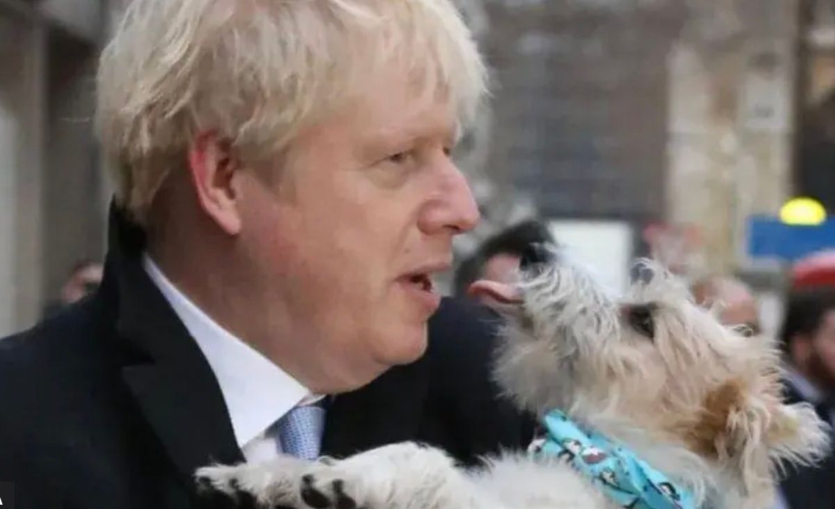 Резиденція прем'єра на Даунінг-стріт потерпала від нашестя бліх Резиденція прем'єра на Даунінг-стріт потерпала від нашестя бліх