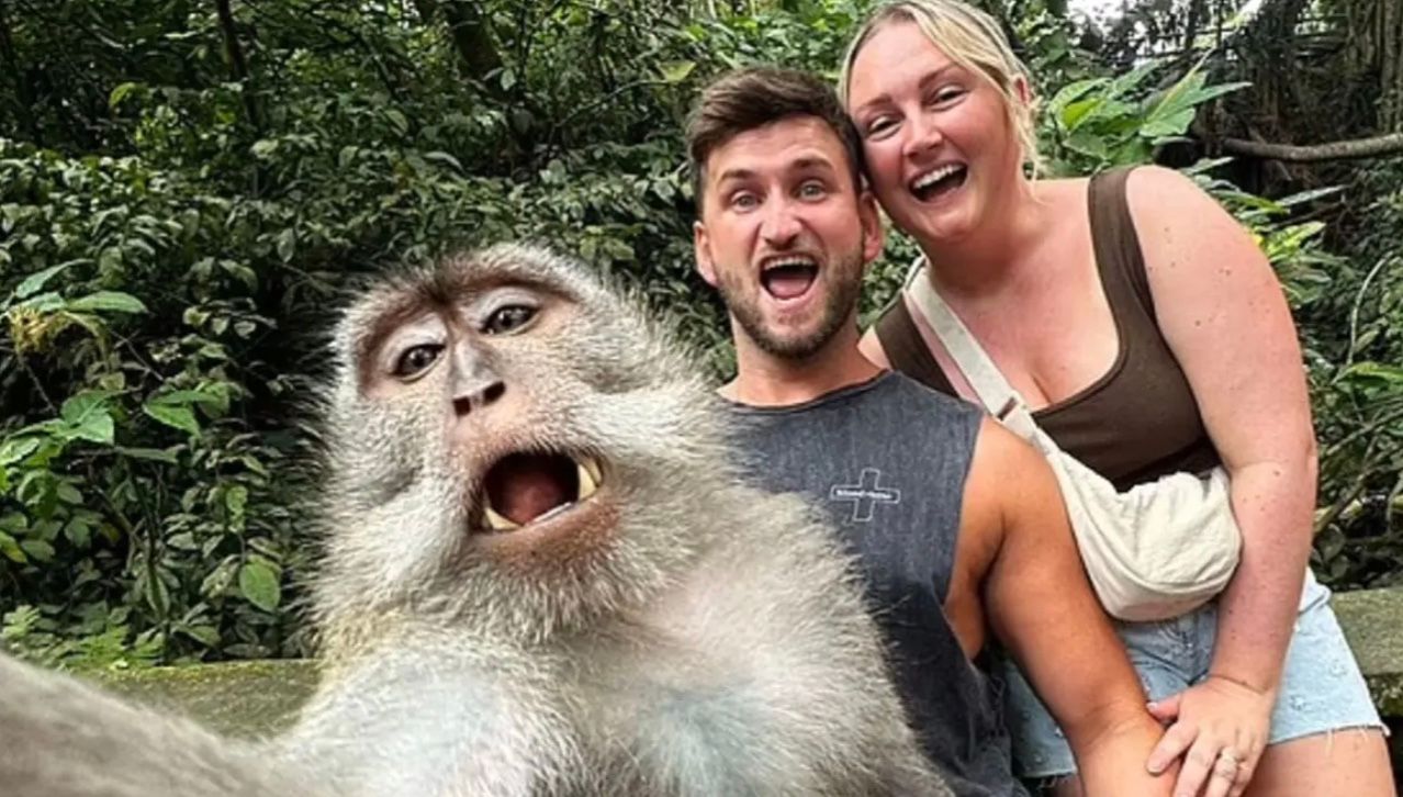 Мавпа зробила незабутнє селфі зі здивованими туристами