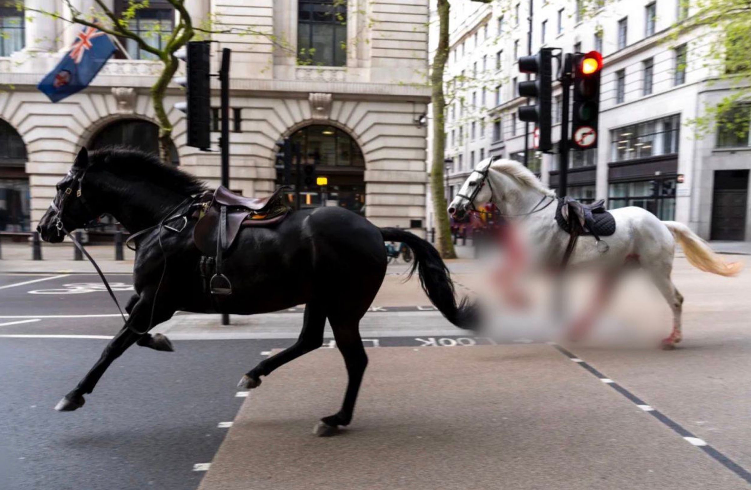 Армейские лошади сбежали в центре Лондона