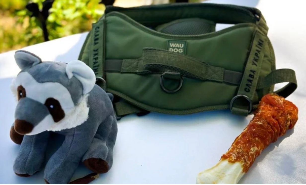 В Одесі попрощалися з собакою Кєтті В Одесі попрощалися з собакою Кєтті