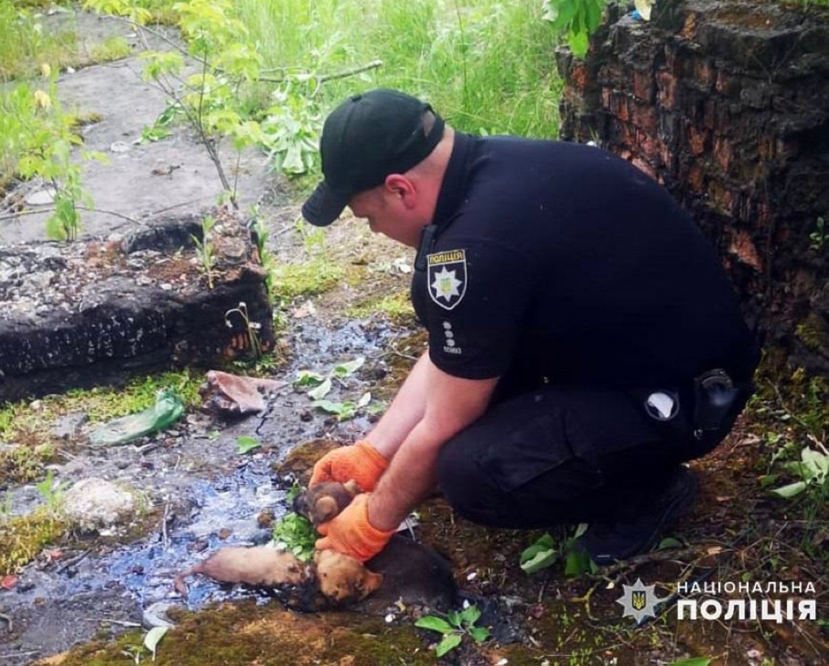 На Хмельниччині поліцейський врятував цуценят зі смертельної пастки