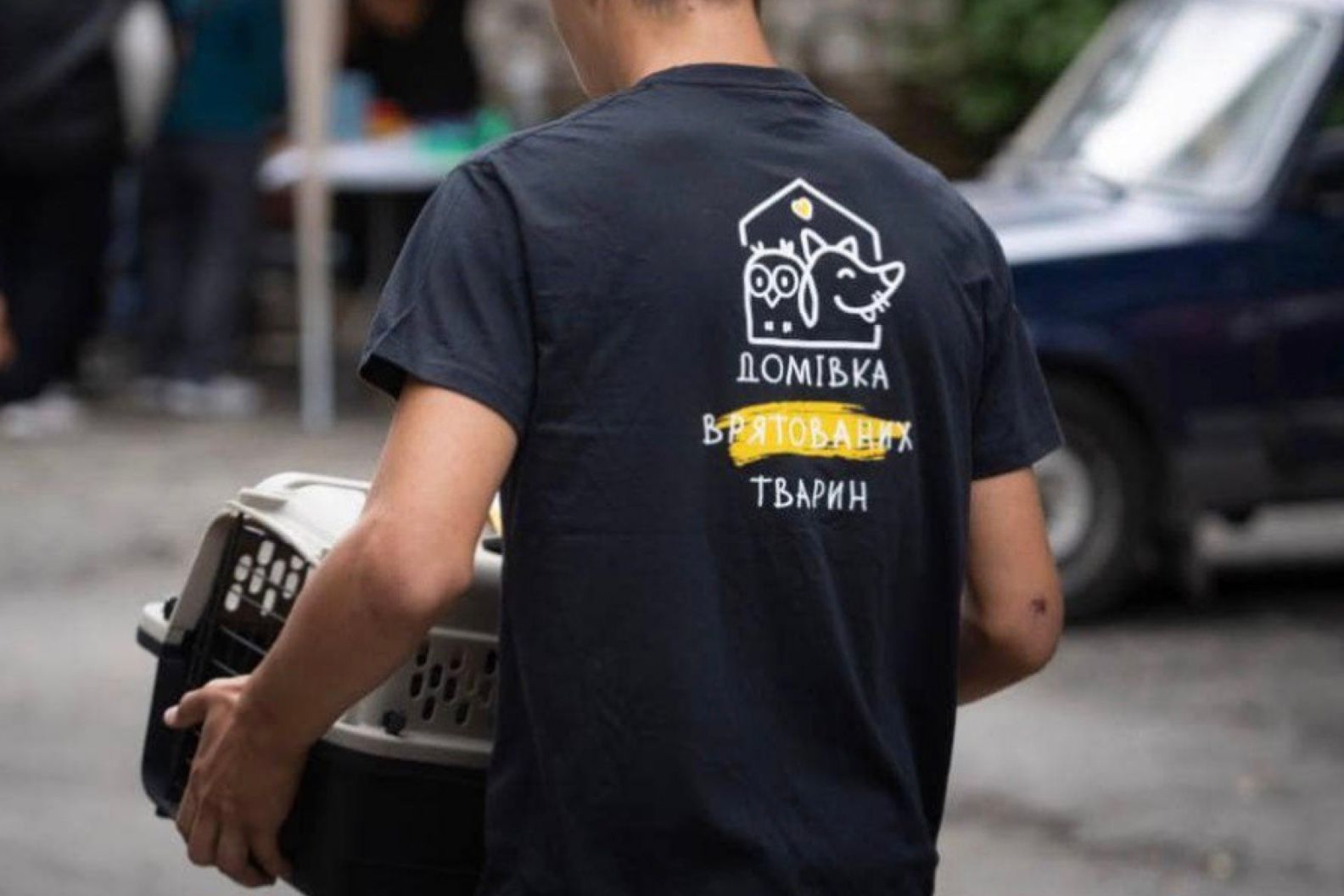 "Домівку врятованих тварин" планують закрити – яка причина "Домівку врятованих тварин" планують закрити – яка причина