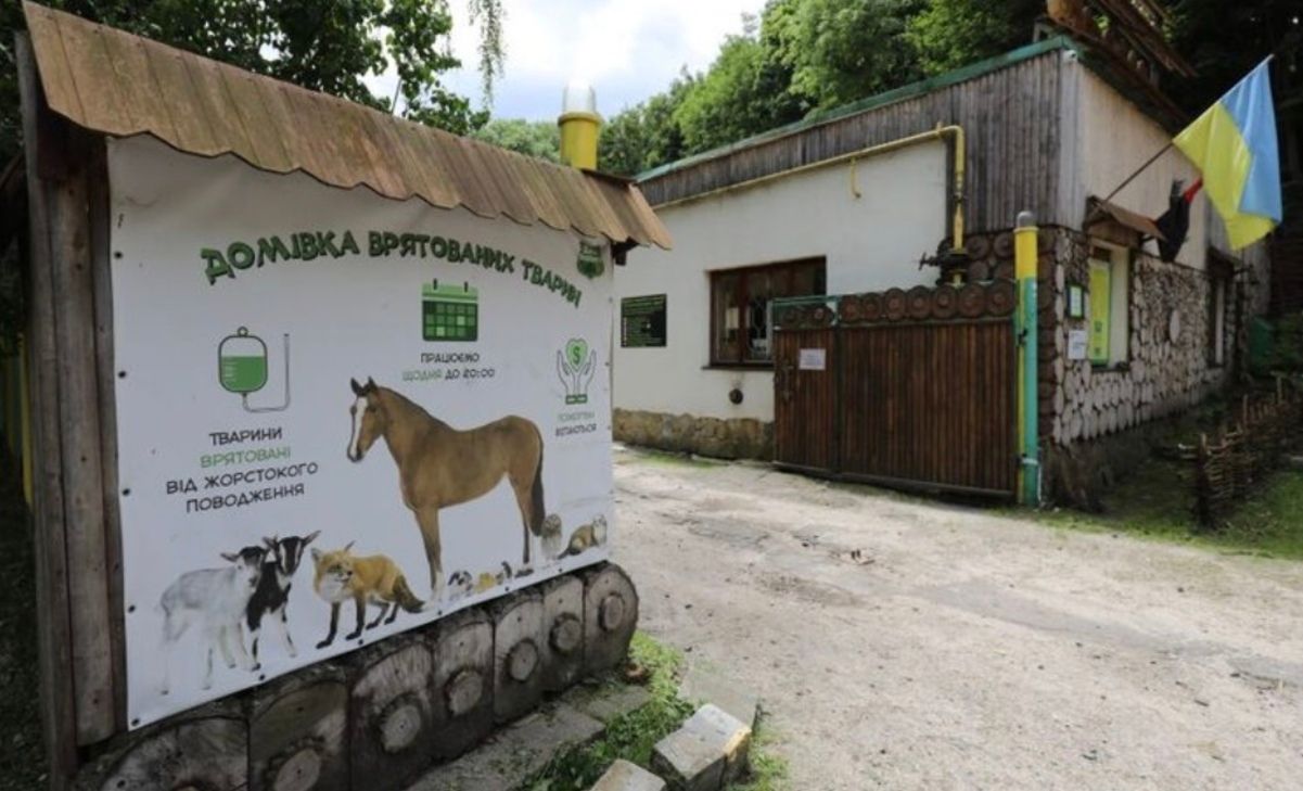 В "Доме спасенных животных" состоится мегаярмарка В "Доме спасенных животных" состоится мегаярмарка