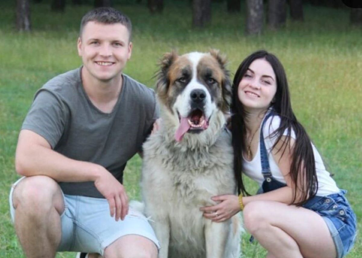 Умерла собака пленного защитника Азовстали - Pets