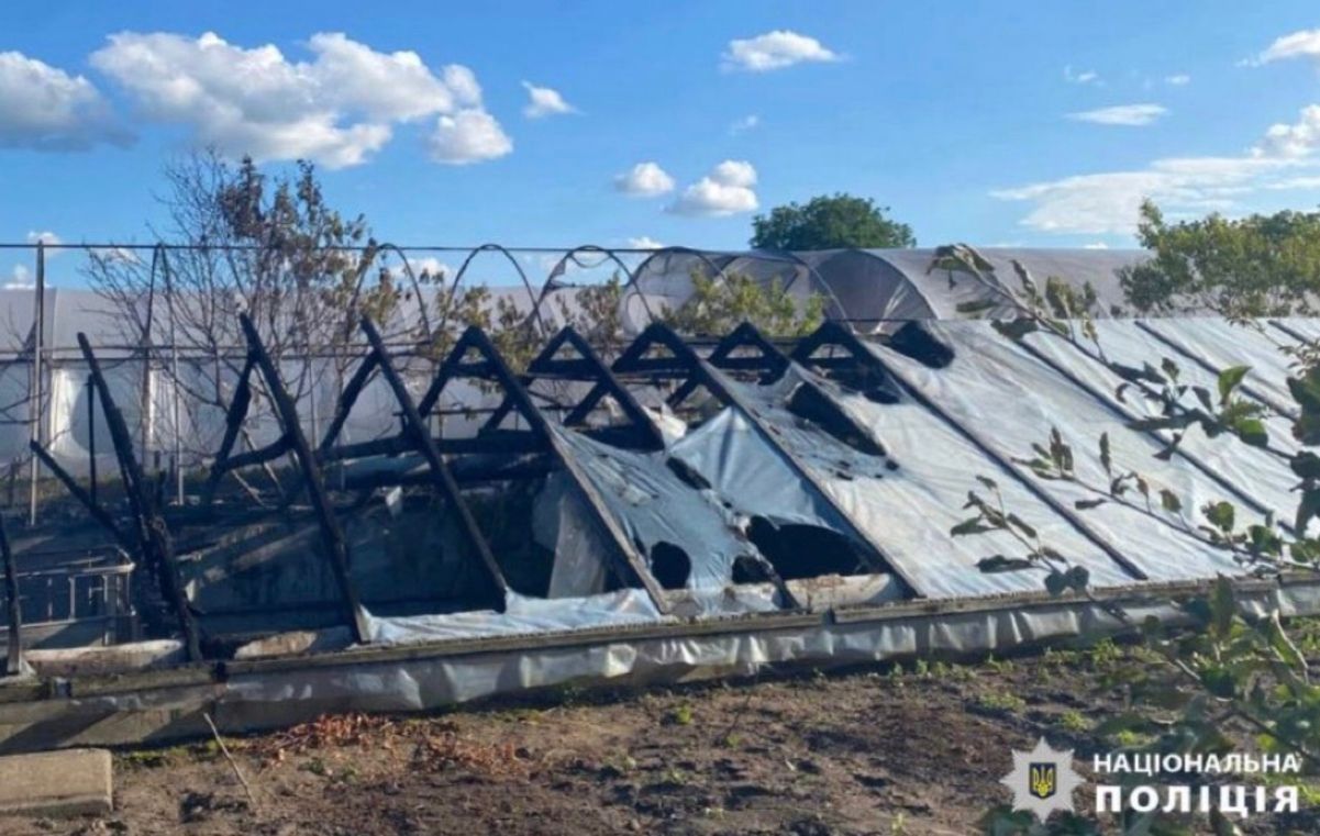 На Київщині горіла равликова ферма На Київщині горіла равликова ферма