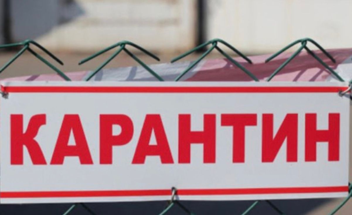 В Волынской области целое село закрыли на карантин из-за бешенства В Волынской области целое село закрыли на карантин из-за бешенства