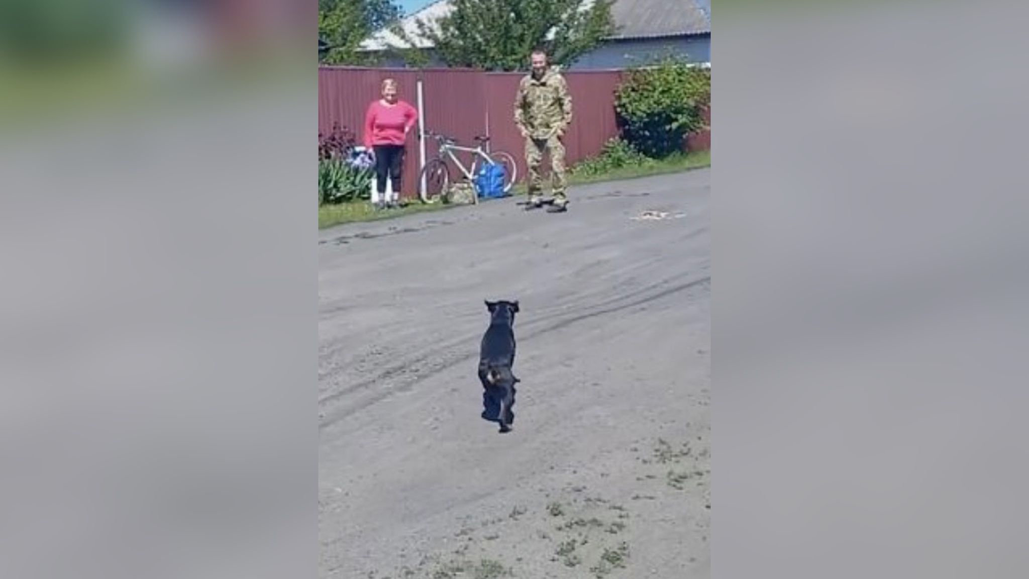 Пограничник встретился с верным псом после 2 лет плена