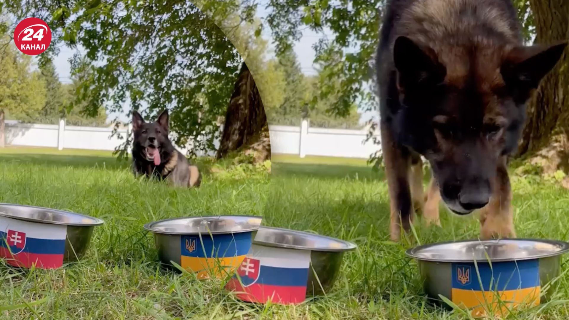 Фішер прогнозує перемогу України Фішер прогнозує перемогу України