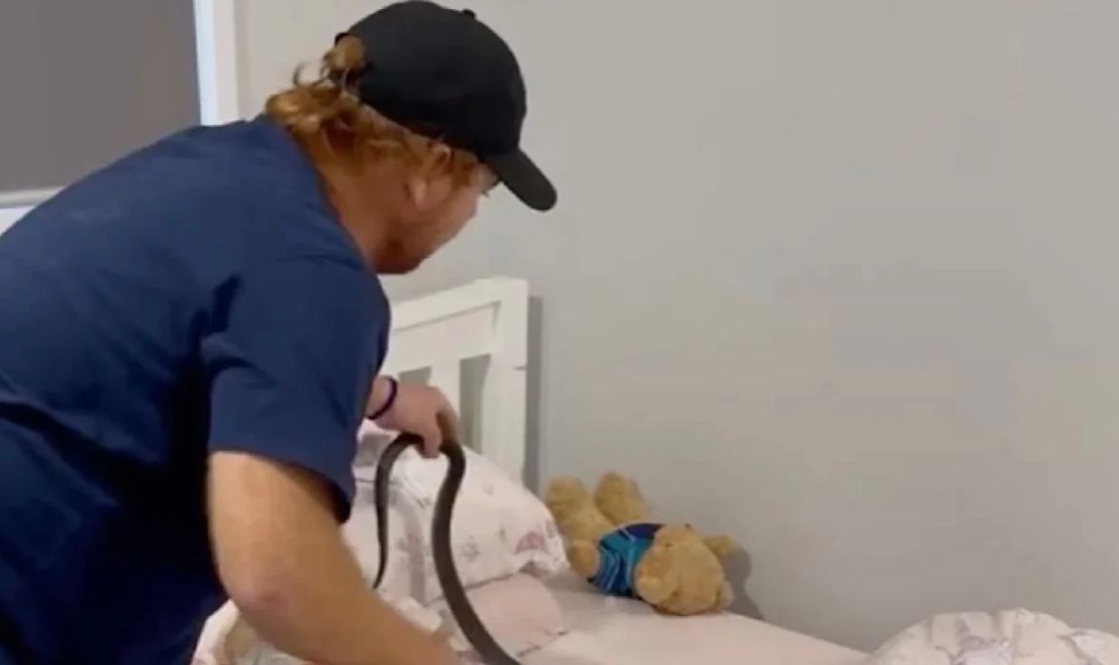 Батьки знайшли у ліжку доньки смертоносну змію Батьки знайшли у ліжку доньки смертоносну змію