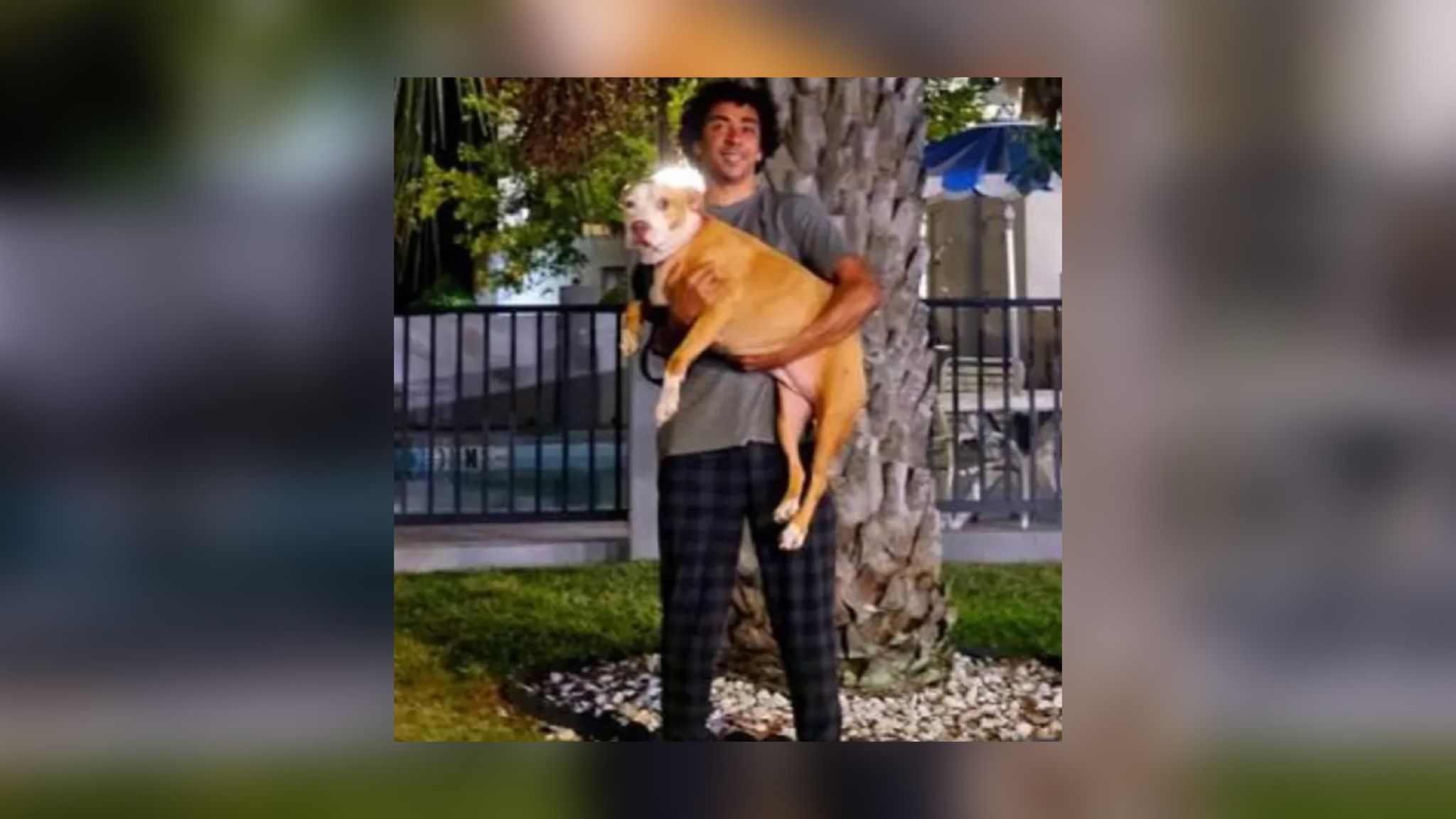 Дункан не втрачав надії побачити свого собаку знову Дункан не втрачав надії побачити свого собаку знову