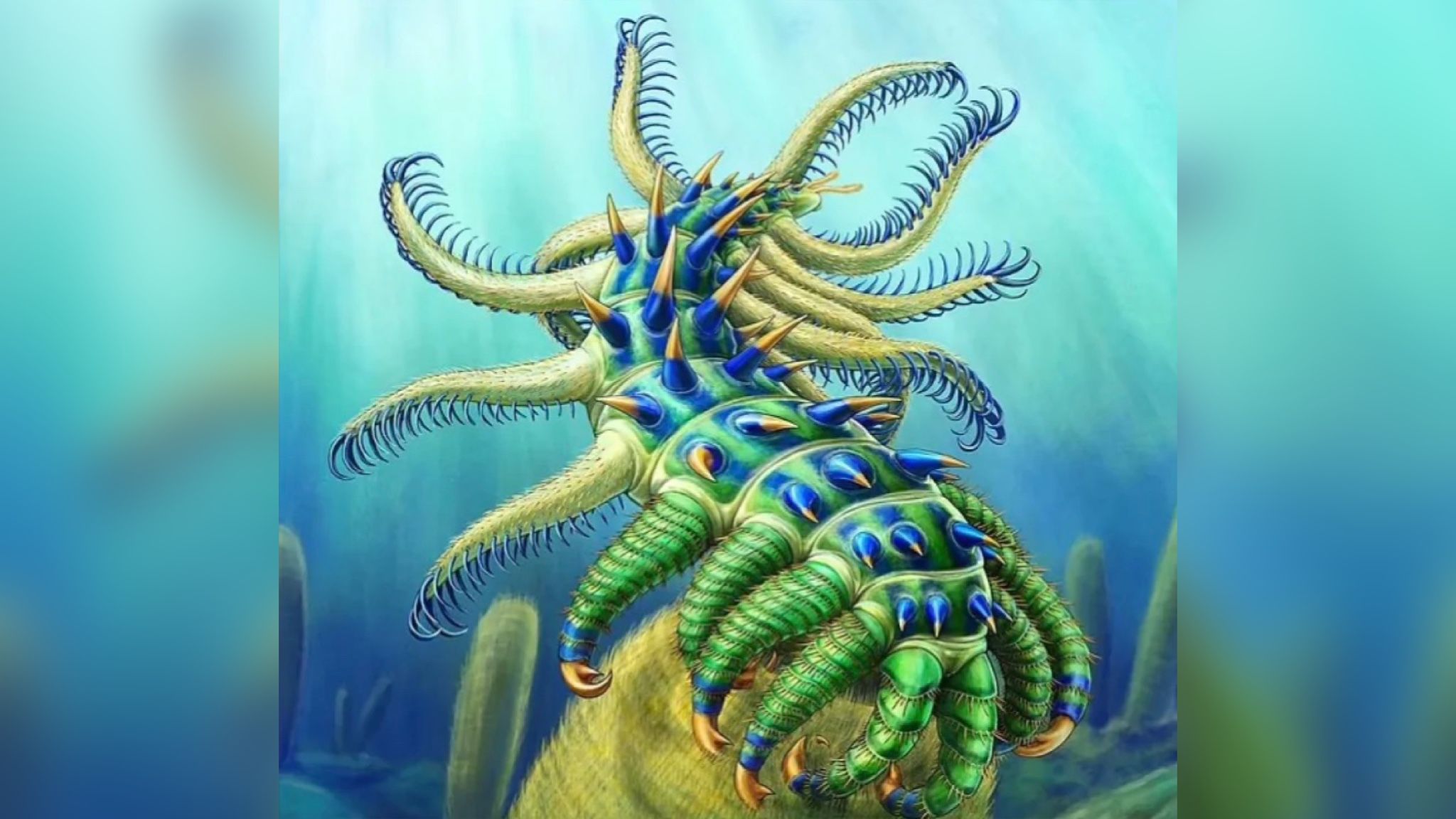 Вчені знайшли істоту, схожу на інопланетянина Вчені знайшли істоту, схожу на інопланетянина