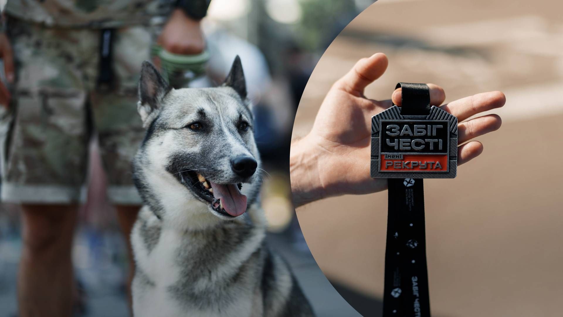 У забігу на честь полеглого захисника Чубашева взяв участь військовий разом з улюбленцем - Pets У забігу на честь полеглого захисника Чубашева взяв участь військовий разом з улюбленцем - Pets