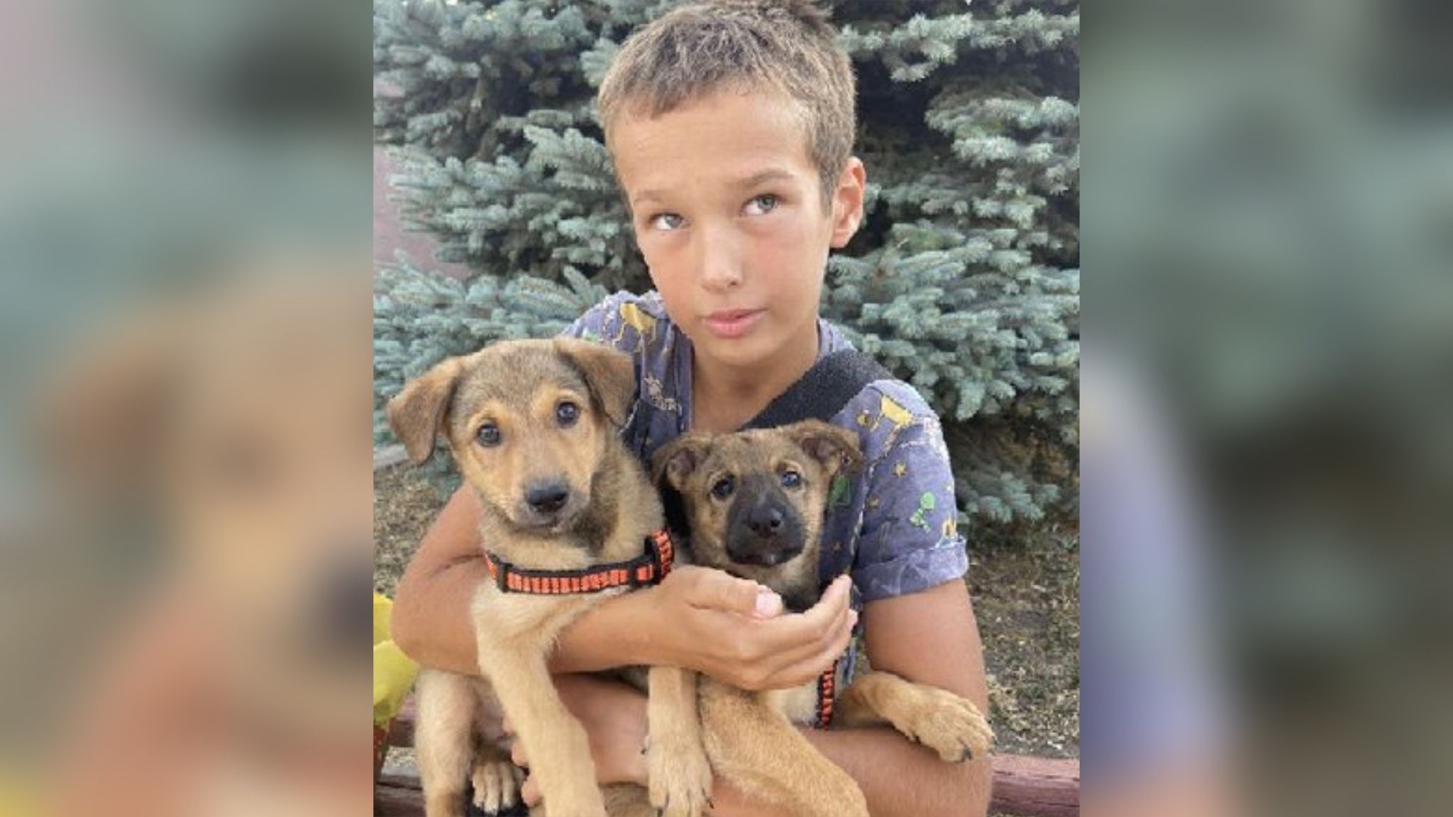 Давид з цуценятами, яких знайшов і хотів віддати в добрі руки Давид з цуценятами, яких знайшов і хотів віддати в добрі руки