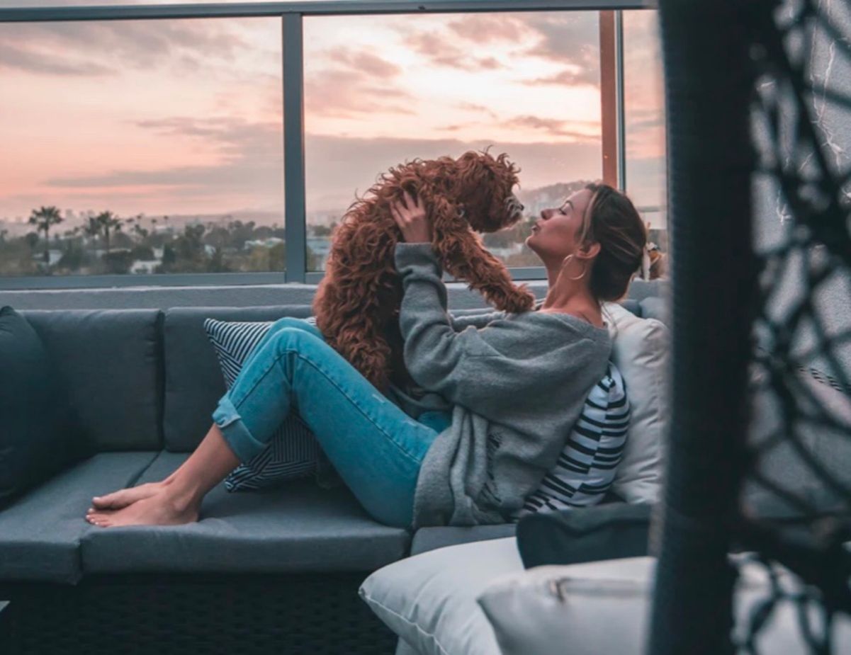 Можно ли целовать домашних животных Можно ли целовать домашних животных