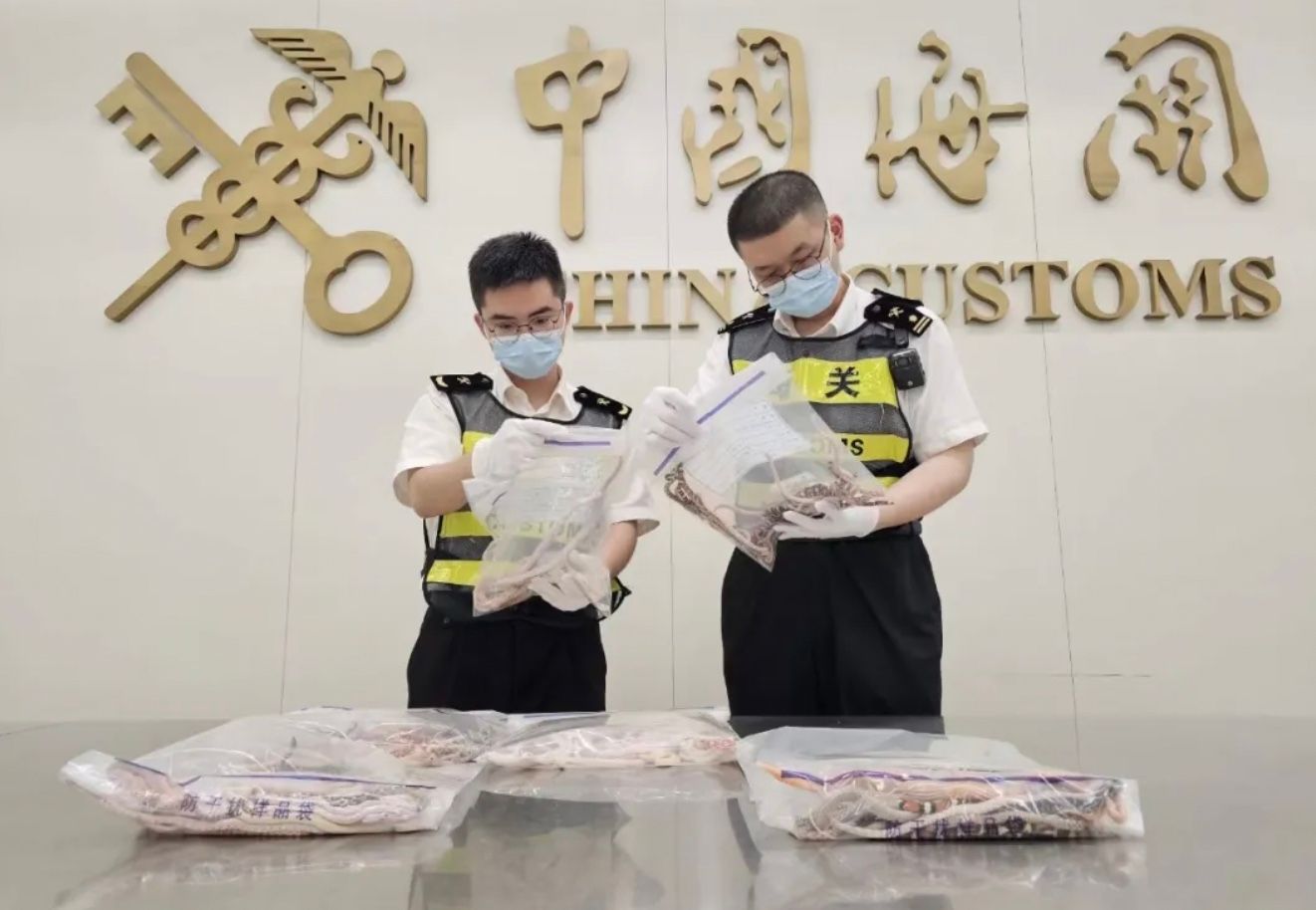 Мужчина пытался пронести в аэропорт более сотни змей в штанах Мужчина пытался пронести в аэропорт более сотни змей в штанах