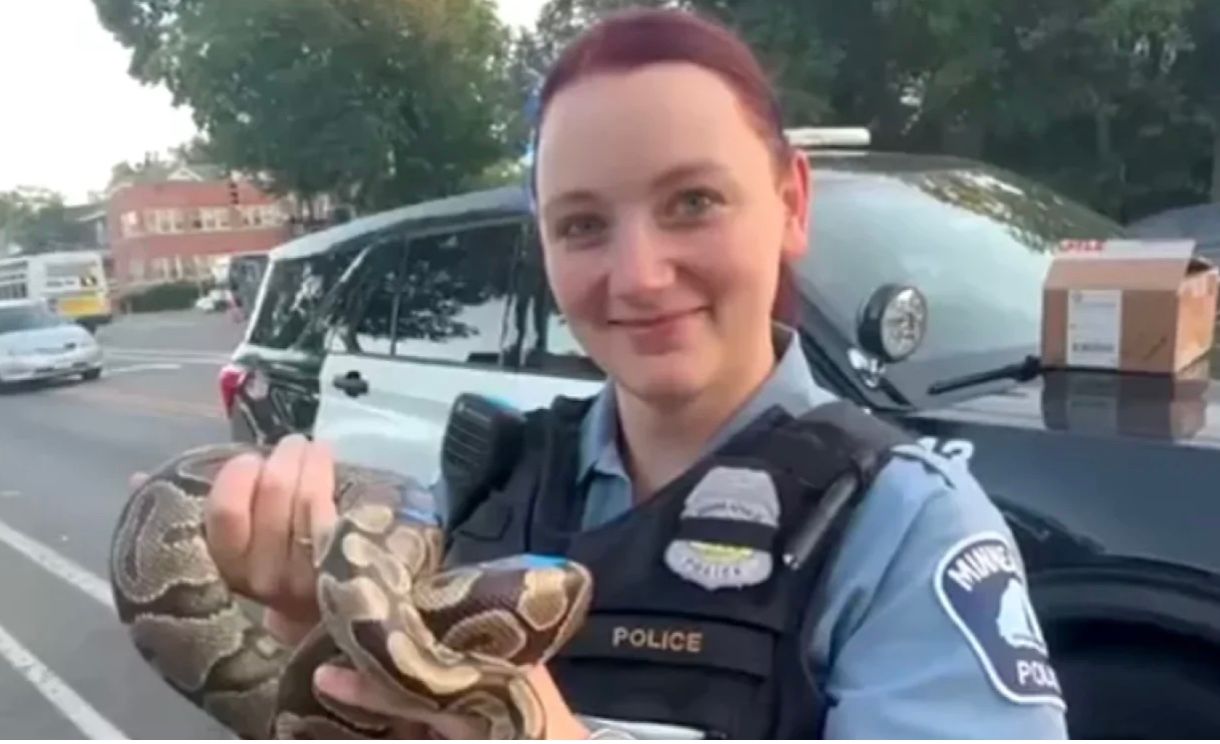Водитель нашел в салоне машины большого питона Водитель нашел в салоне машины большого питона