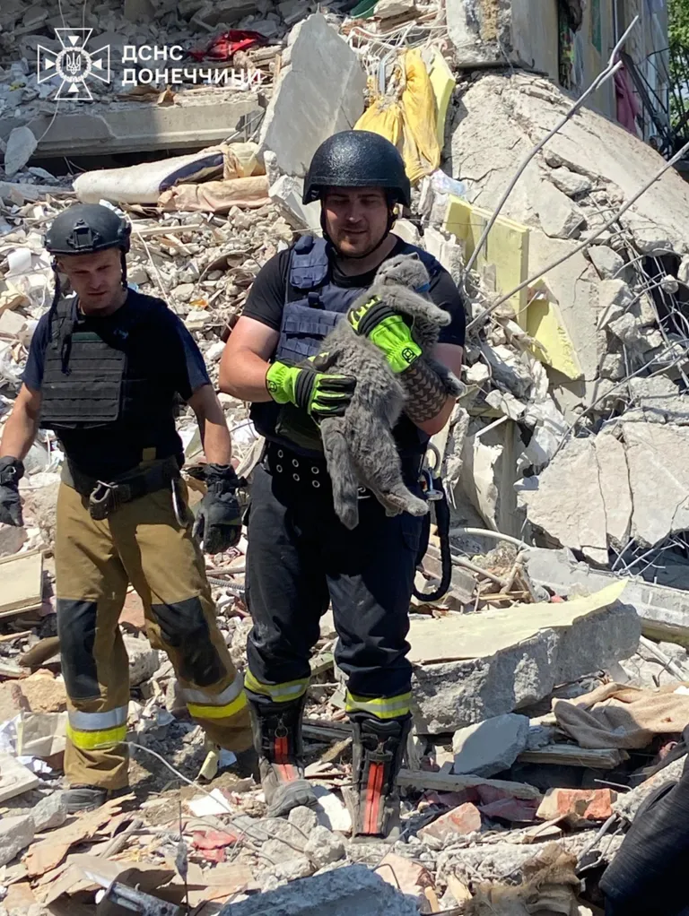 Надзвичайники врятували кота з-під завалів зруйнованого будинку у Мирнограді