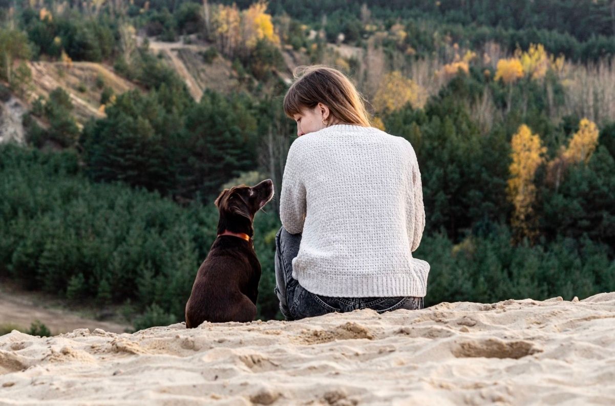Собаки могут по запаху понять, когда хозяин в стрессе Собаки могут по запаху понять, когда хозяин в стрессе