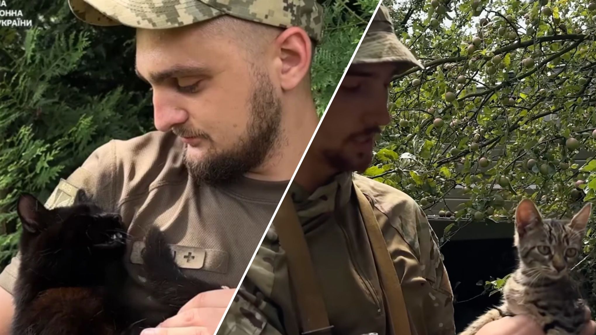 Кот Мавик из Харьковской области и боец "Рай" Кот Мавик из Харьковской области и боец "Рай"