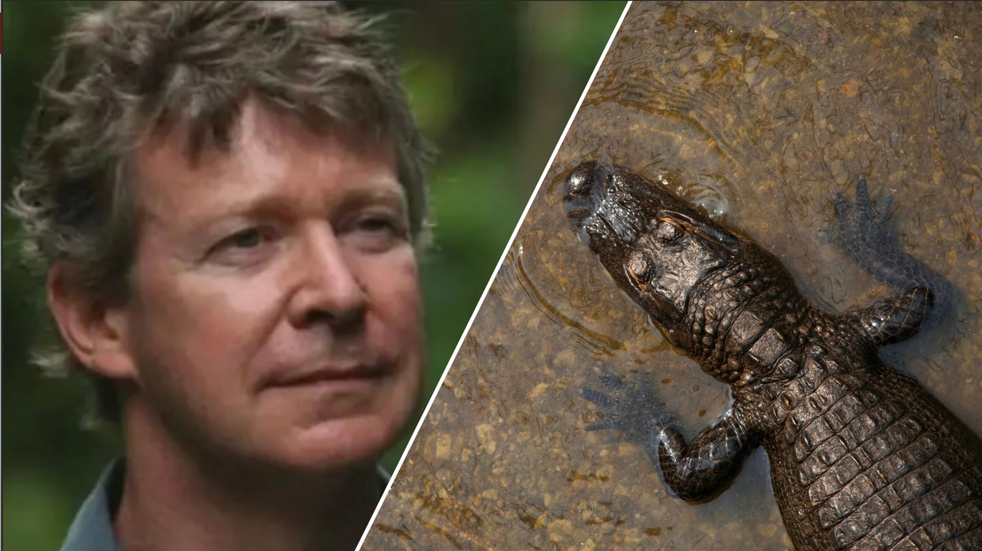 Всемирно известный зоолог оказался садистом и убийцей собак Всемирно известный зоолог оказался садистом и убийцей собак