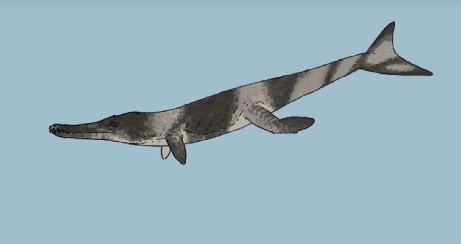 Стародавній морський крокодил жив на Землі 135 мільйонів років тому Стародавній морський крокодил жив на Землі 135 мільйонів років тому