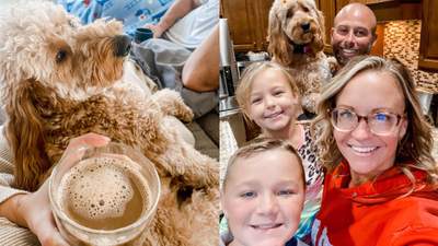 Ці кошенята нелегально маленькі: 20 фото, що зроблять ваш день чудовим