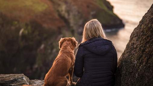 Вірний друг: чому собаки стають чудовими домашніми улюбленцями